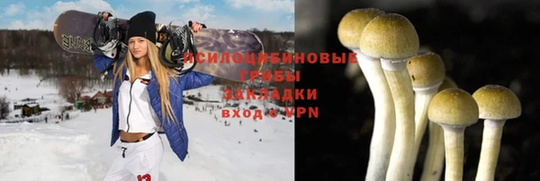 спайс Арсеньев