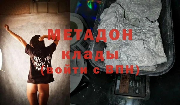 прущие грибы Армянск