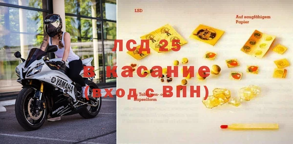 прущие грибы Армянск