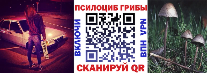сколько стоит  Кувшиново  Псилоцибиновые грибы ЛСД 